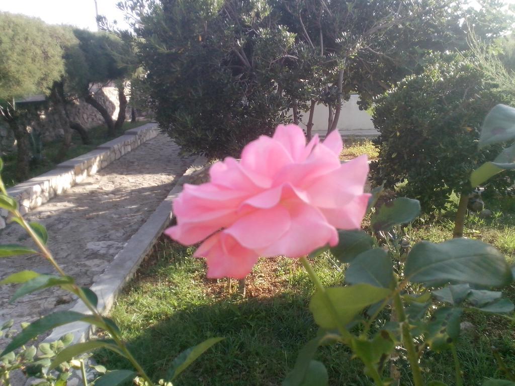 Kuca Za Odmor Laura Apartamento Ražanac Exterior foto
